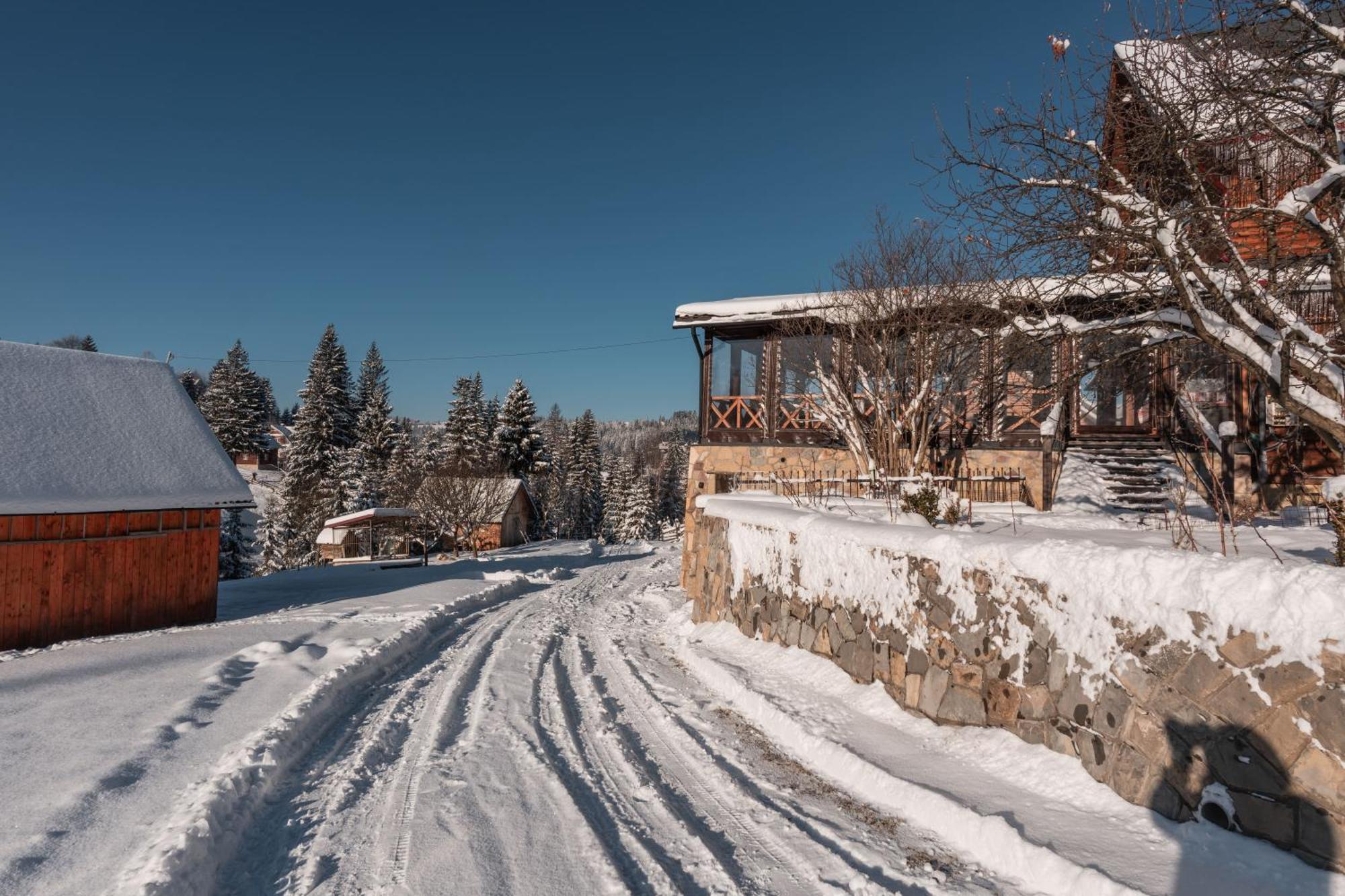 Гостьовий Дім "У Ані" Yablunytsya Esterno foto