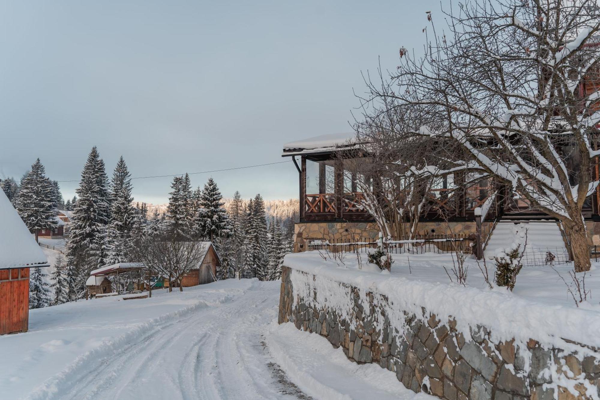 Hotel Гостьовий Дім "У Ані" Yablunytsya Esterno foto